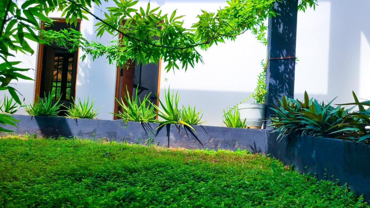 Greenville Resort And Spa Dambulla Exterior foto